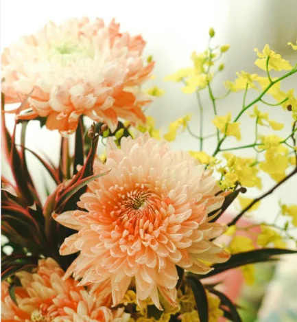 

Tuya Smart WIFI Water Leak Detector Remote Real-Time Control Wireless Stereo Sensor 100dB High-Decibel Alarm for Home Safety