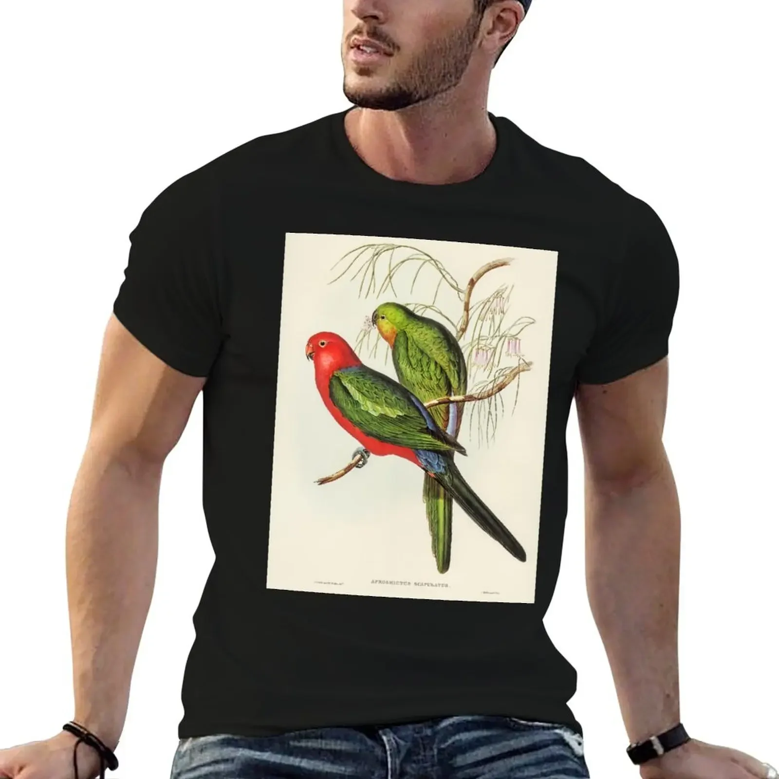 

John Gould King Parrot T-Shirt oversizeds hippie clothes essential t shirt T-shirt men