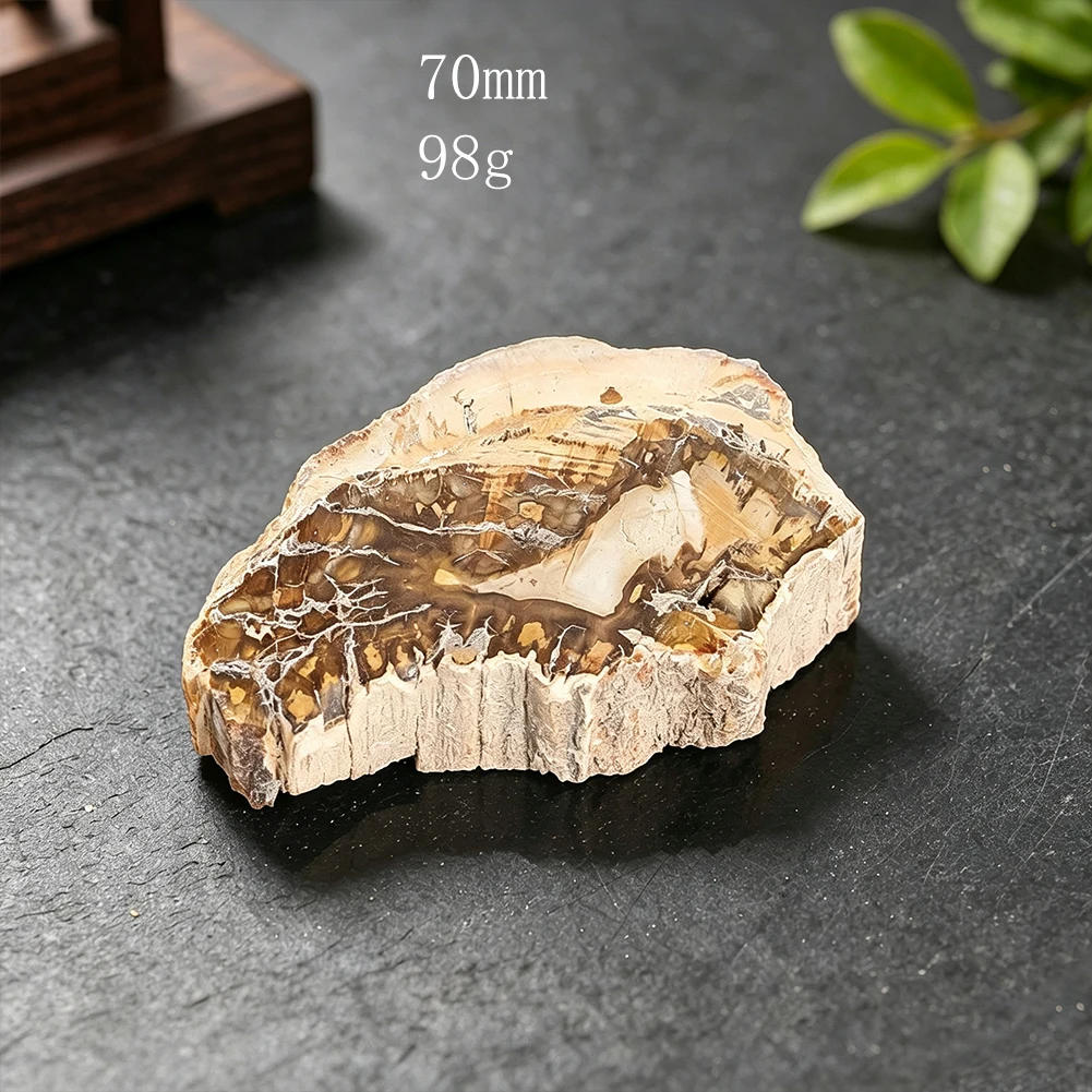 Natürliches Versteinertes Holzstück, Unregelmäßige Raue Mineralsteinplatte für Schreibtischausstellung, Heimdekoration, Sammlerstück – Detail 6