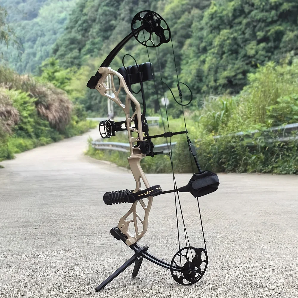 ARCHERY Starting 31 Beginner Compound Bow Hunting Bow And Arrow Package DL19-30" DW19-70lbs Archery Bow Kits OEM/ODM