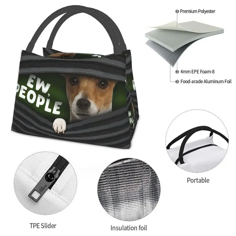 Lustige Jack Russell Hund isolierte Lunch pakete für Frauen tragbare Kühler Thermal Bento Box Arbeits reise