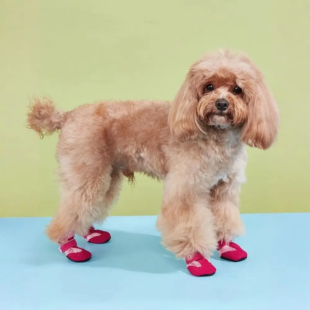 4pcs/set Fashion Mesh Dog Shoes Soft-soled Breathable Pet Sandals Lightweight Anti-slip Dog Care Footmuffs Summer