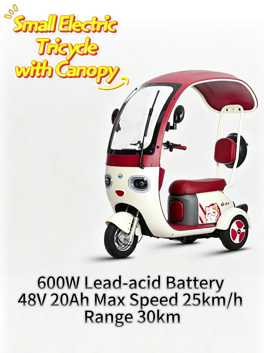 Small Electric Tricycle with Canopy 600W Lead-acid Battery 48V 20Ah Max Speed 25km/h Range 30km Covered Electric Scooter