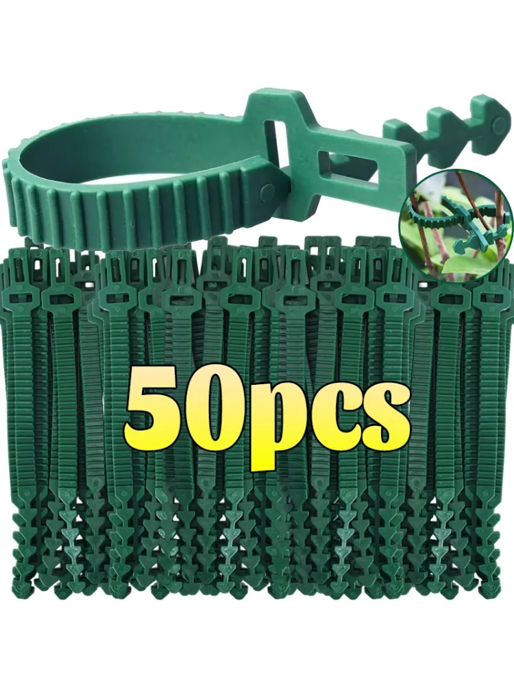 Attaches de plantes réutilisables, Support d'arbustes d'arbre de vigne, fixation à boucle, verrouillage automatique, câbles verts réglables, organisateur de jardin