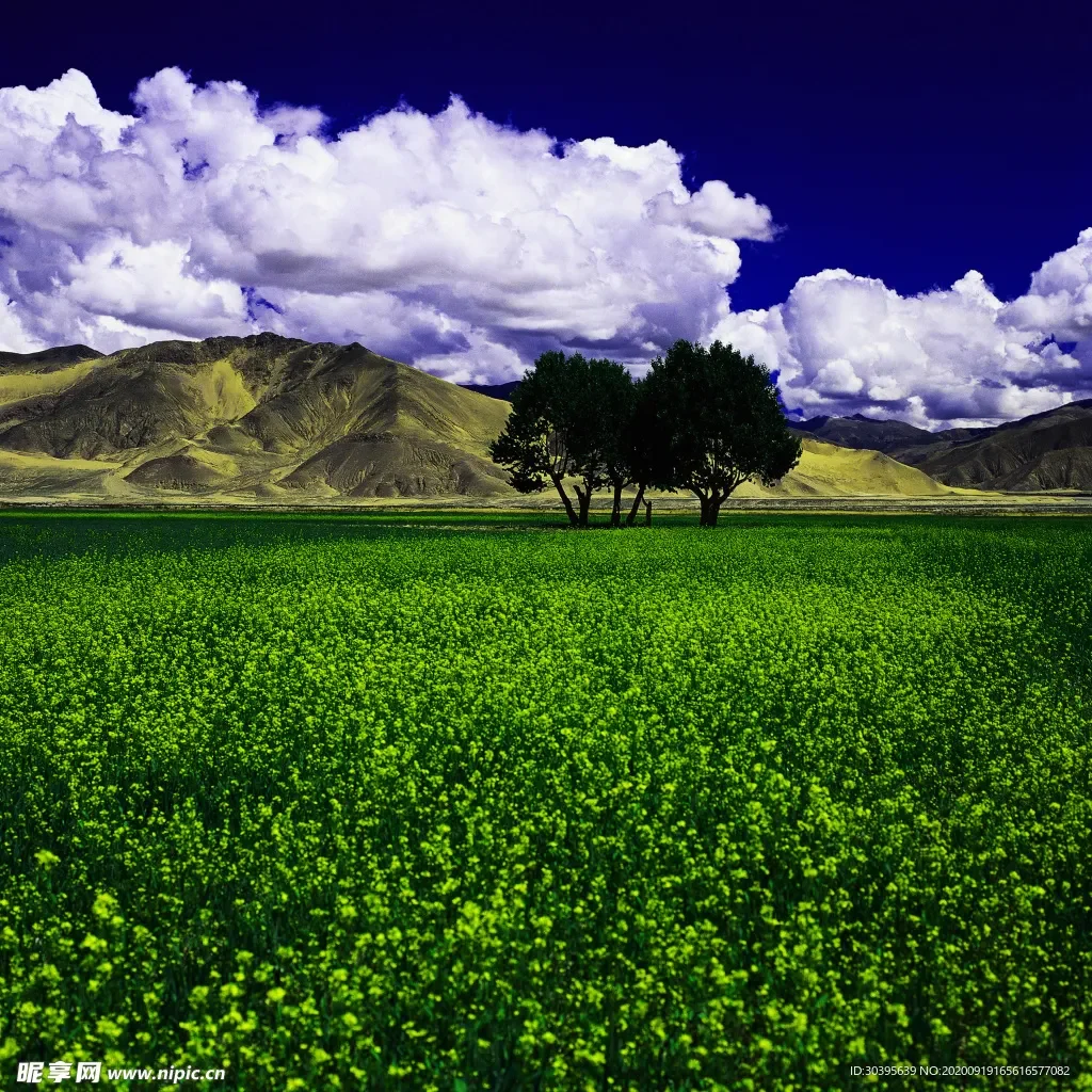 

Брызговик двигателя автомобиля, брызговик, защита от брызговика, черные аксессуары, защитный чехол для WuLing SGMW S3 2017-2023