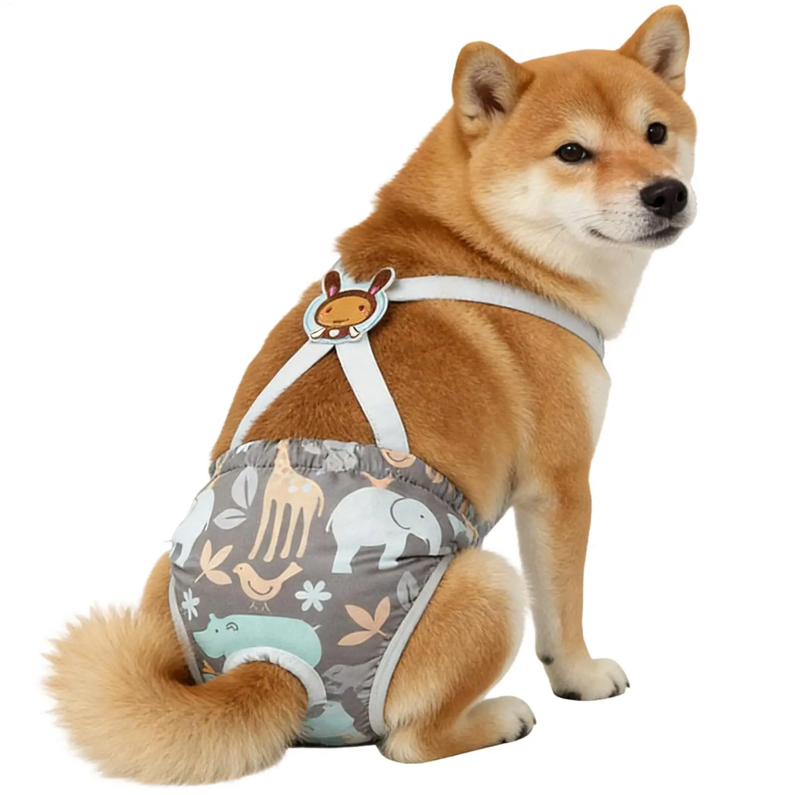 Sanitary Panty