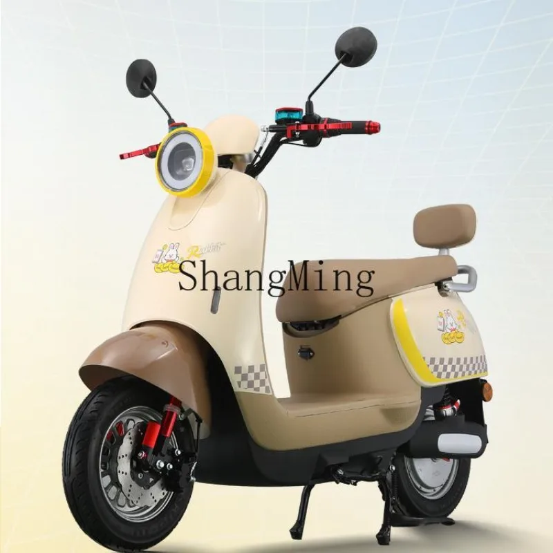

LXY battery car 72V little beetle electric adult transportation leisure shuttle car