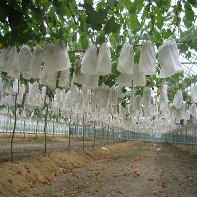 

BHTS-400PCS Garden Plant Fruit Cover Protect Net Mesh Bag Against Insect Bird Pest