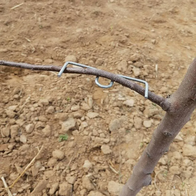 Bonsai shaper albero da frutto twig estrattore finalizzatore universale ultimo modello shaper e bender ramo apri impianto apparato di ramificazione