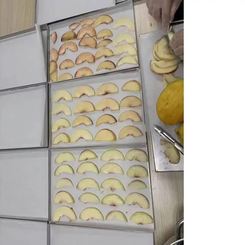 Household Commercial 10~20kg Yophilizer Freeze Dryer Small-sized Food, Fruits, Vegetables, And Chinese Herbal Medicine