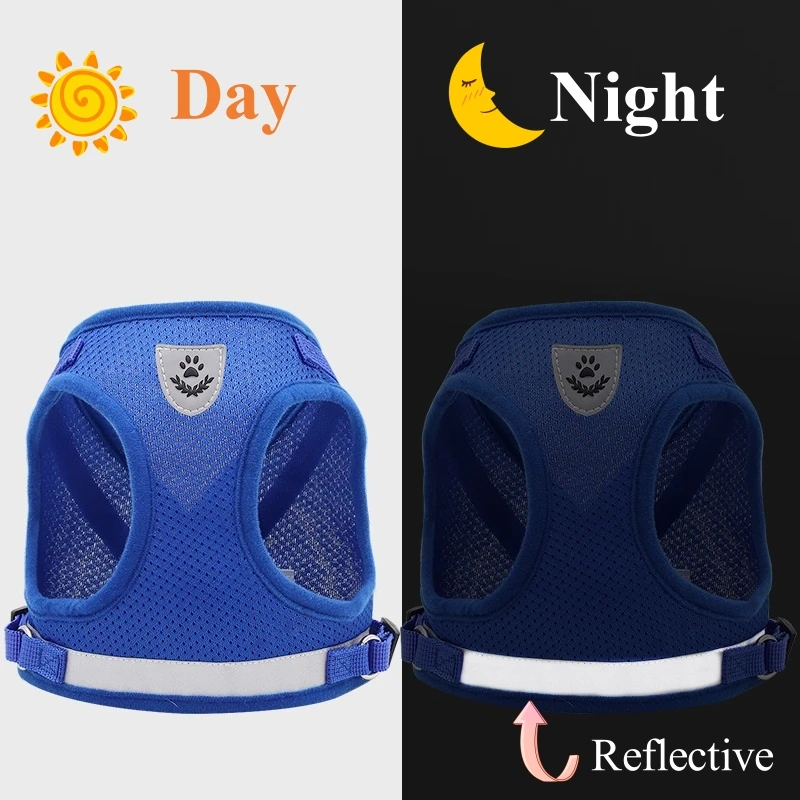 Thumbnail 3 - #43 Best Puppy Leads to Buy In 2026