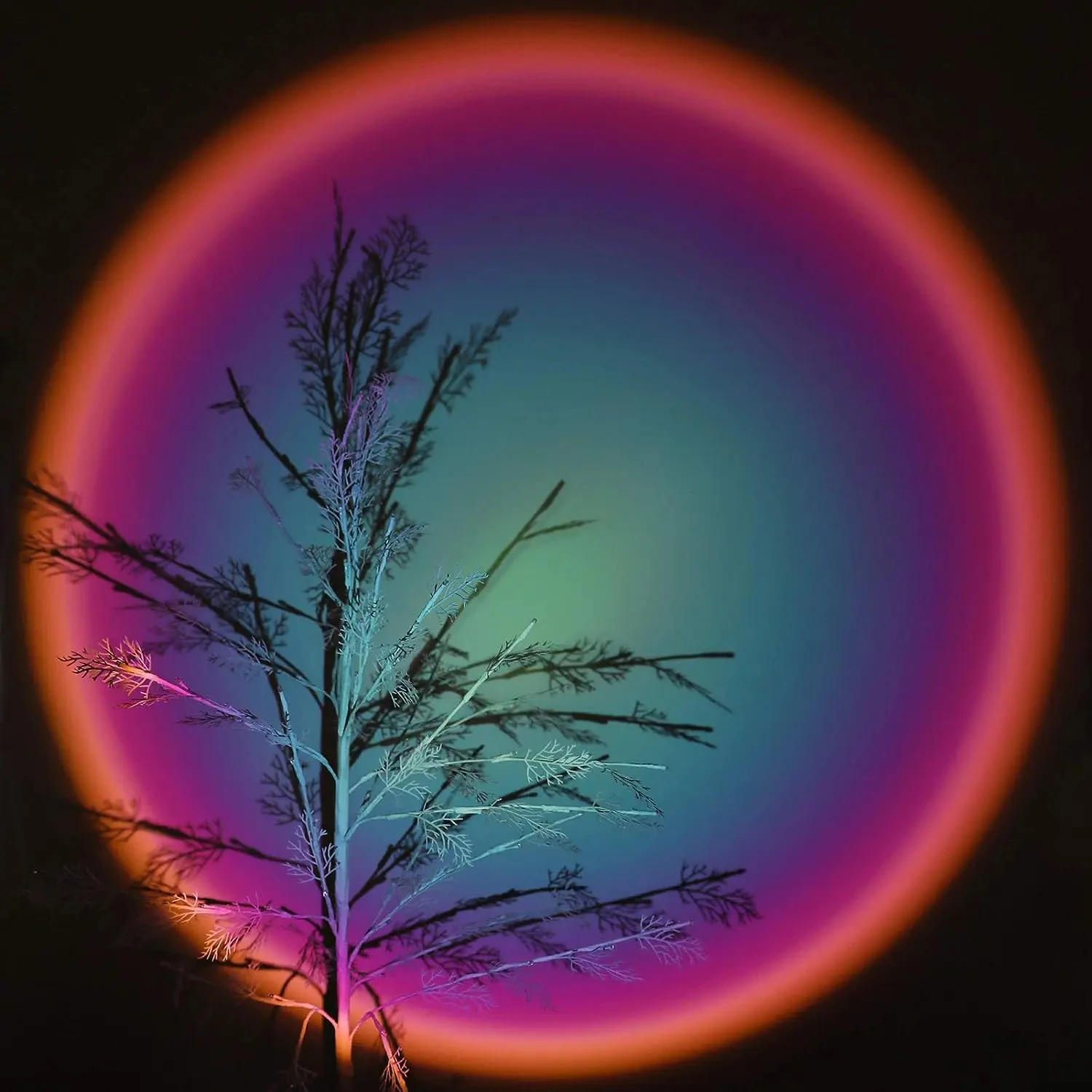 Luz de atmosfera fotográfica de sala USB