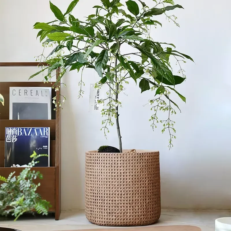 New Arrival: Large-Diameter Woven Basket Cement Flower Pot Concrete Garden Living Room Floor Planter with Tray