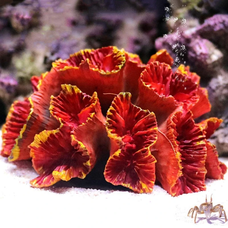 Fish Tank Coral Reef Set Aquarium Decoration Mountain Ornament for Aquarium Environments Decor Accessories Coral Mountain