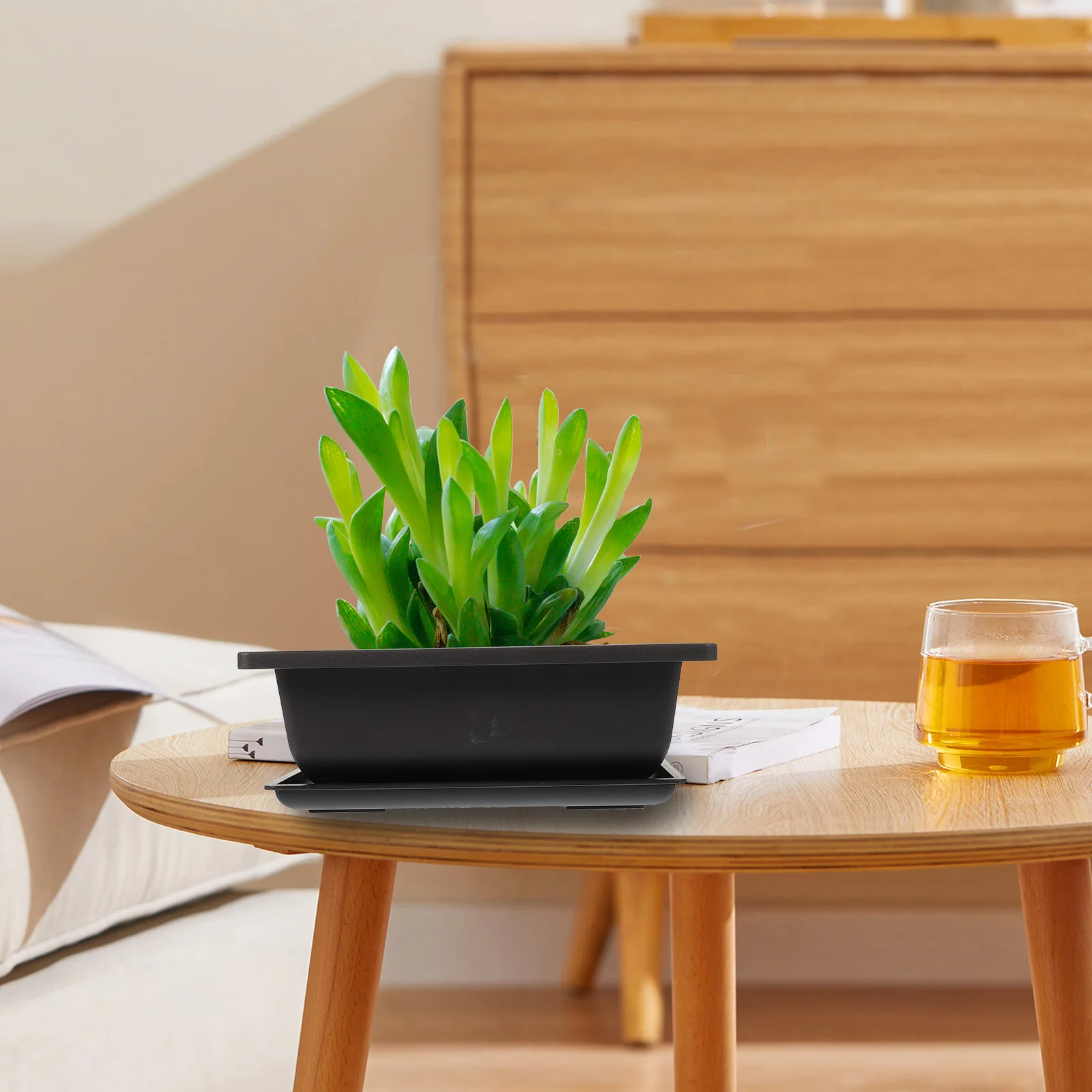 

1 set Rectangular Succulent Plastic Plant Plastic Planter Pot With Saucer Saucer for Durable Plant Holder