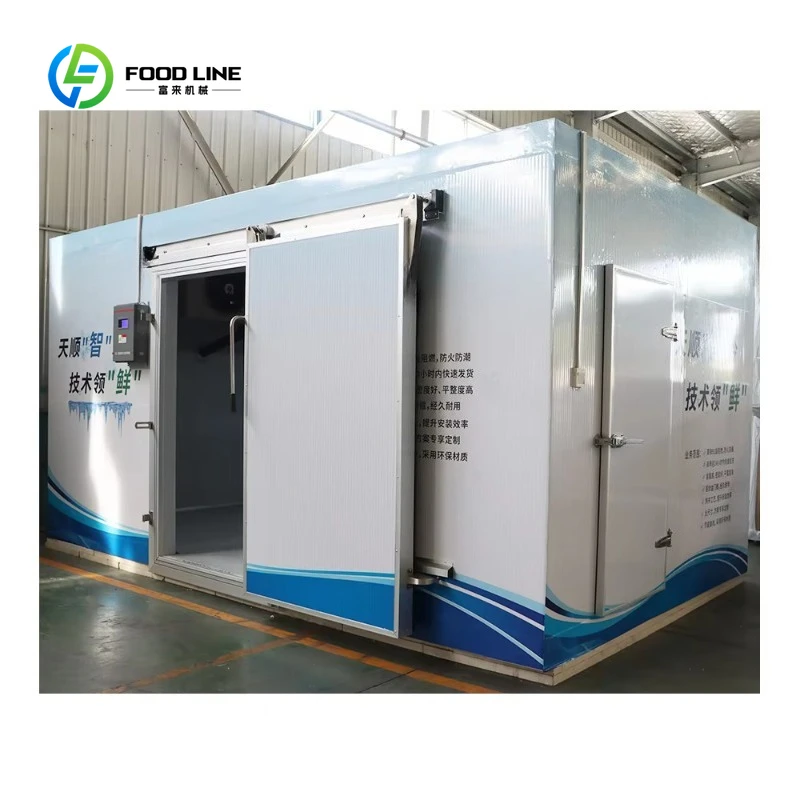 Maßgeschneiderter kommerzieller Schockfroster – energiesparender Behälter für Kühlräume, Gefrierkammer für die Lebensmittelaufbewahrung