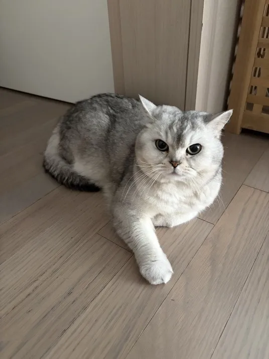 구매후기