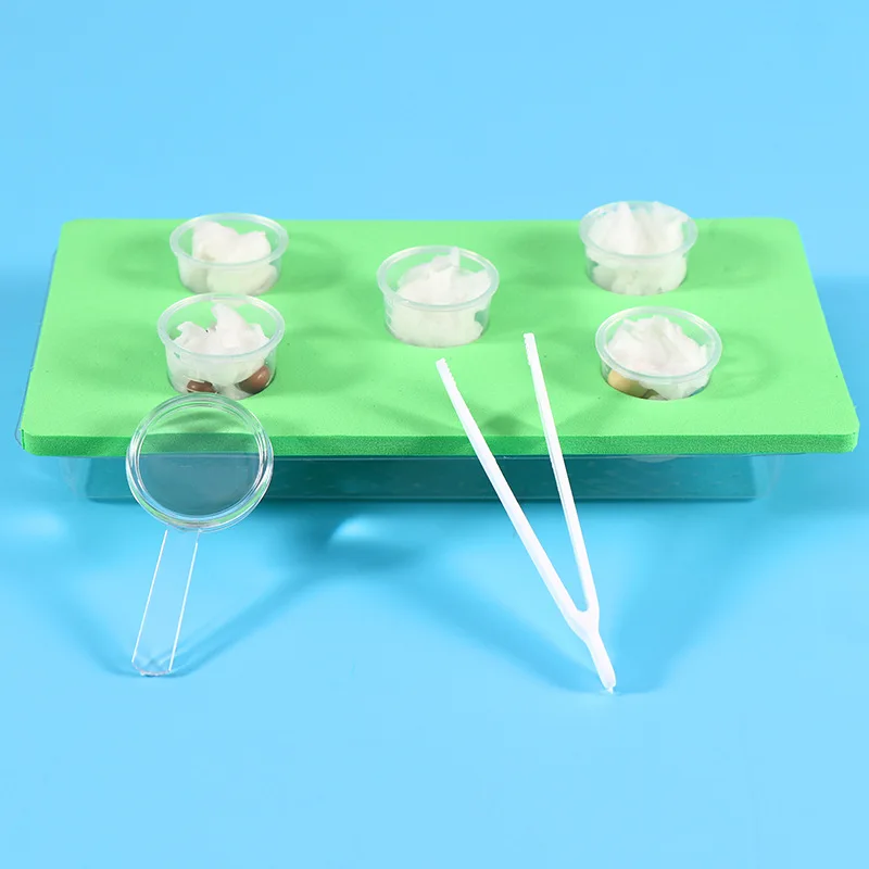 Wissenschaftliches experimentelles Spielzeug, Studententechnologie, kleine Produktion, Erfindungsmaterialien, pädagogisch, DIY, handgefertigt, Samenkeimung und