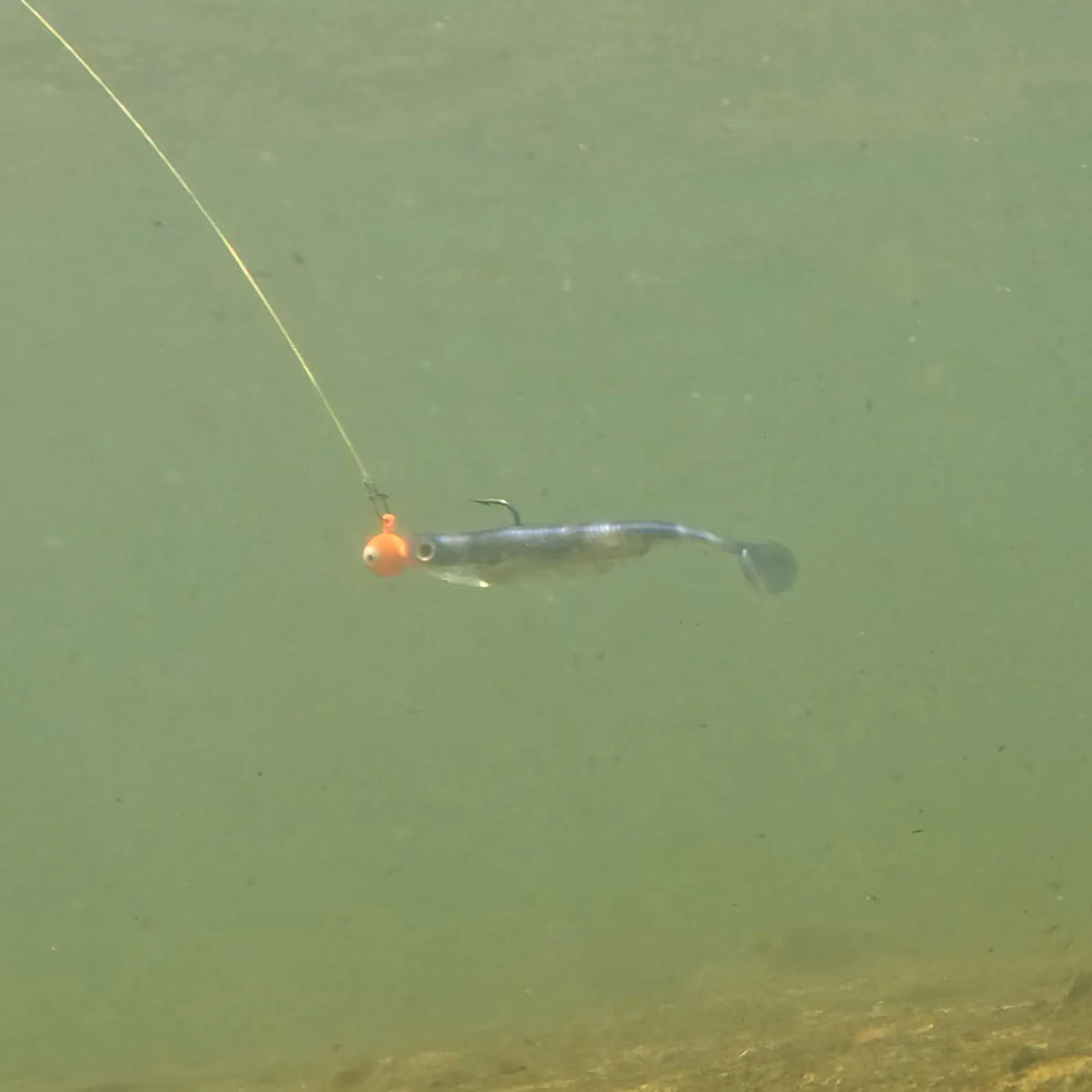 5/6 Stück Weiche Plastik-Angelköder mit Paddelschwanz, 70mm-120mm Schwimmköder für Barsch-Angeln, Drop-Shot-Rig – Detail 15