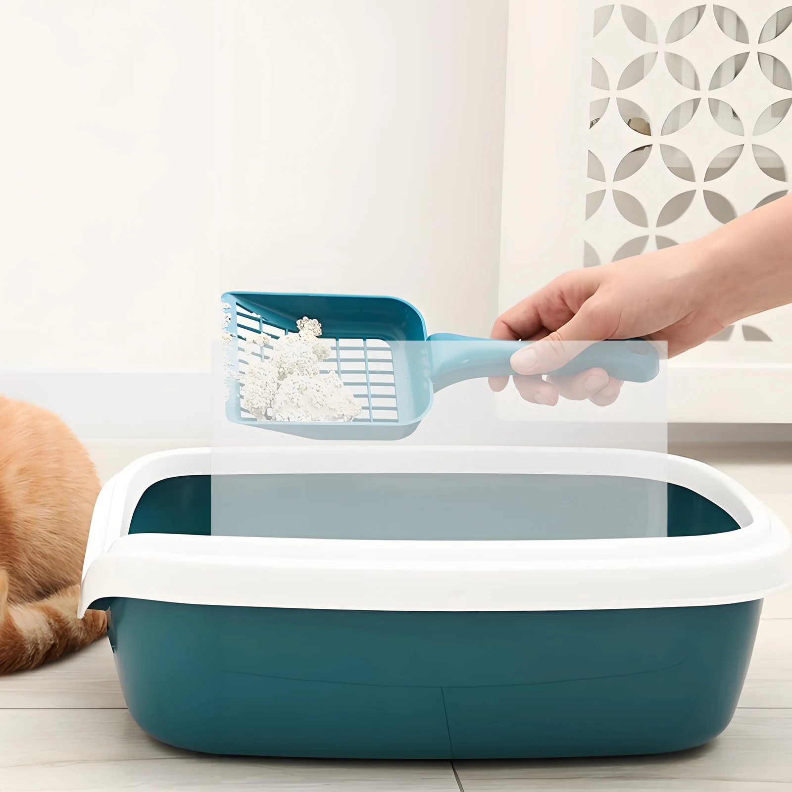 

4 Pcs Cat Litter Box Splash Guard Pan Enclosure Trash Can Transparent Accessories