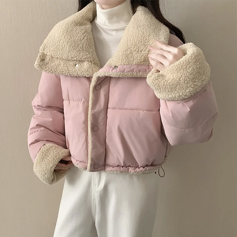

Wearing Lamb Wool Cotton Jacket on Both Sides, Women's Autumn and Winter Fashion, 2025 New Style