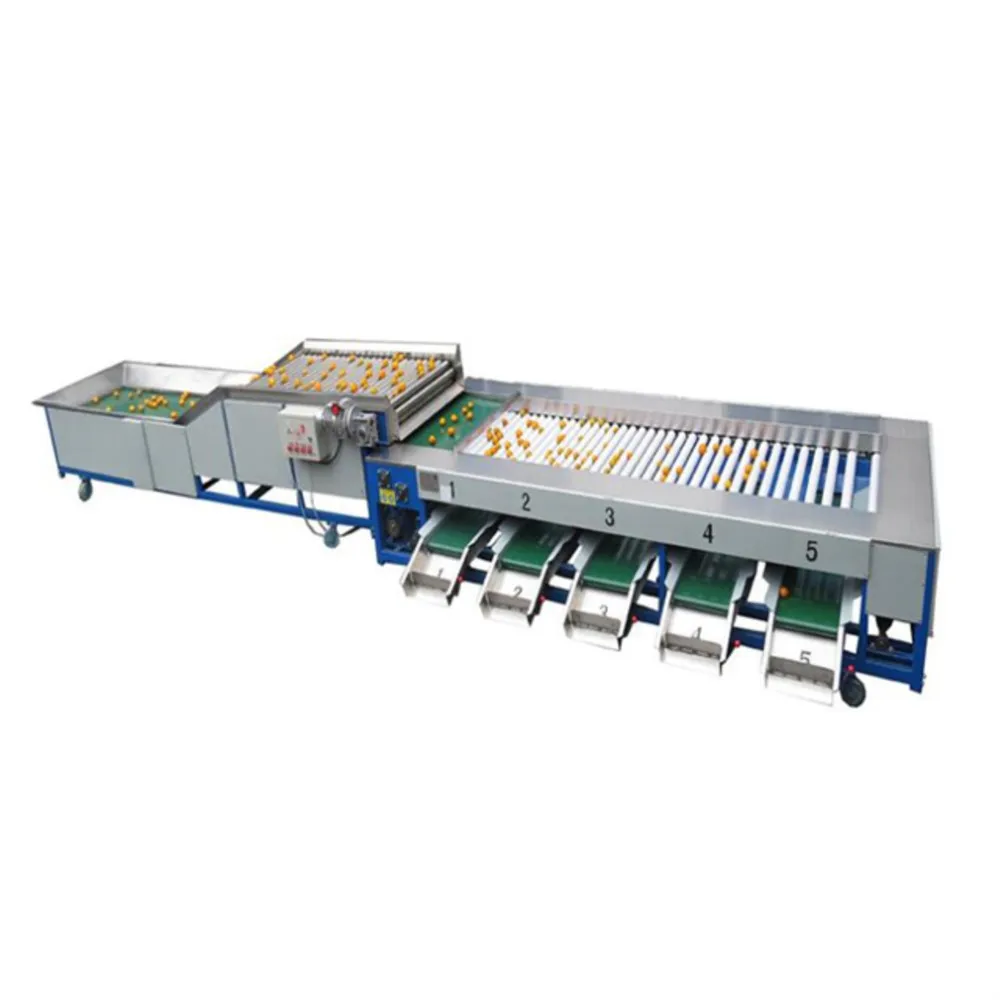 Máquina clasificadora de frutas y verduras, aparato Industrial totalmente automático de Granada, clasificación de frutas