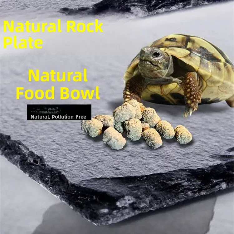 L Material Turtle F…