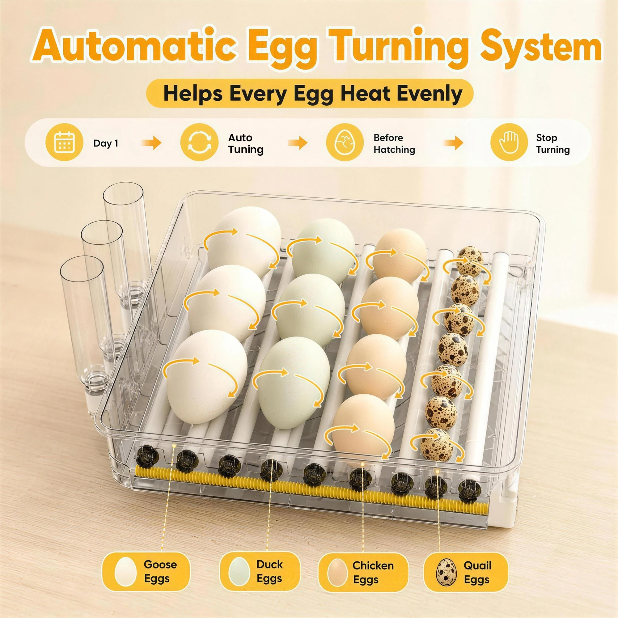 Automatic 3 Tier Egg Incubator - Quail Egg Incubator ulasan dan harga
