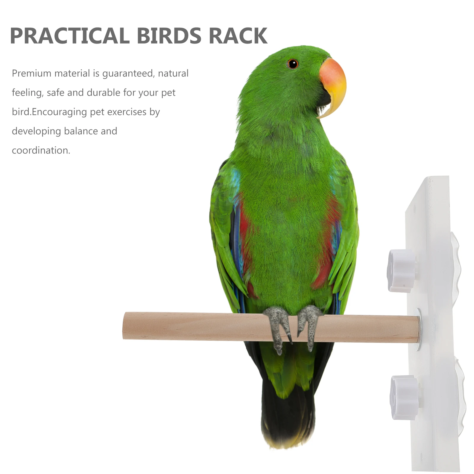 

1pc Suction Cup Standing For Bird Training Shower Stand Durable Bite Resistant Bird Cage Accessory Parrot Training Rack Birds