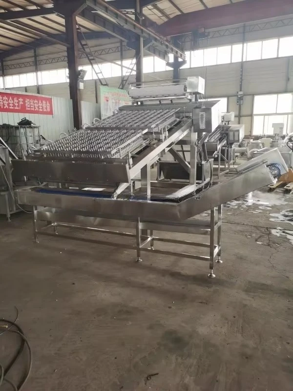 Fresh Prawn Peeler Machine Shrimp Peeling Separating Equipment Prawn Shrimp Devein Lobster Shell Remover Customized