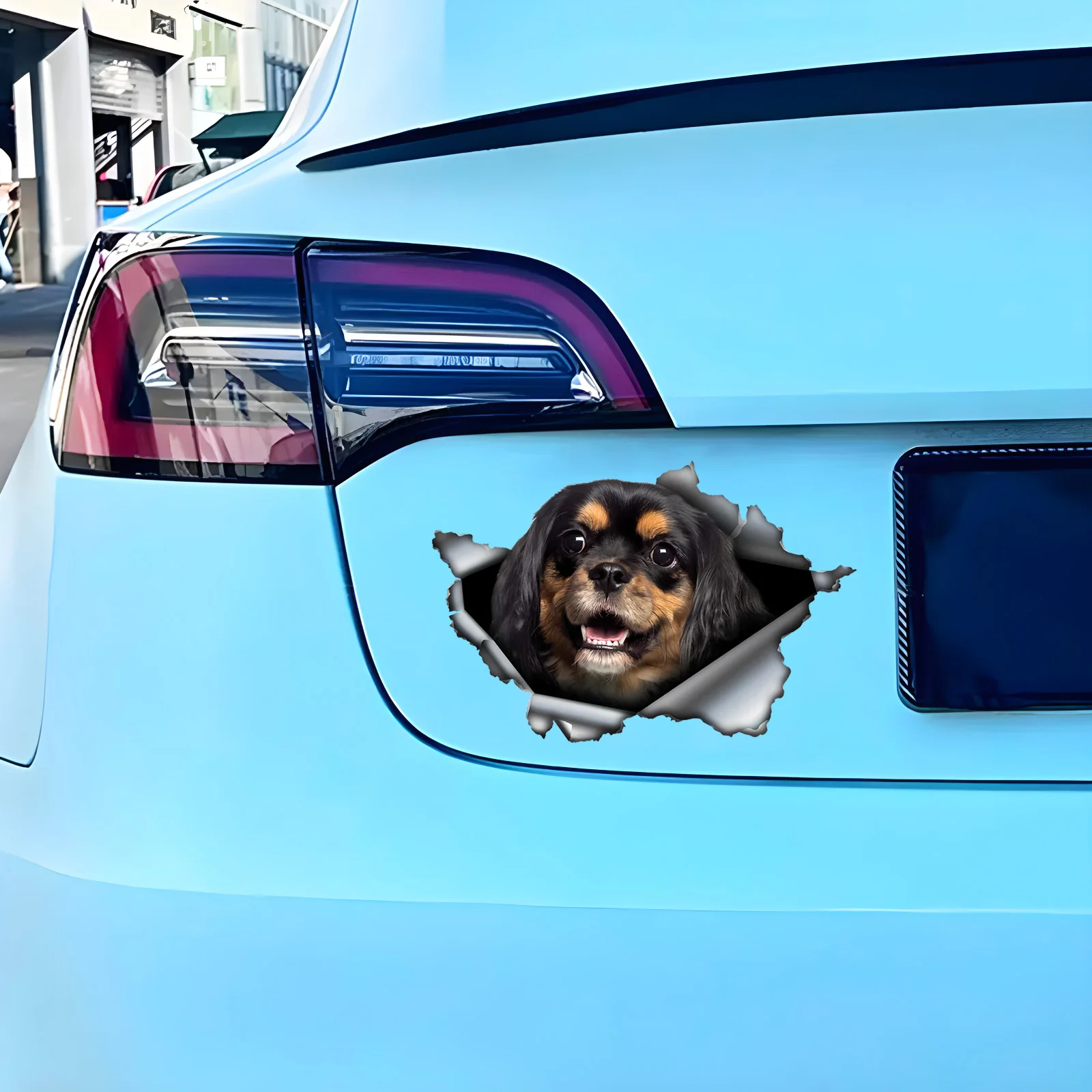SK381# Black and Brown Cavalier King Dog 3D Vinyl Car Sticker, Fun Insurance Bumper Sticker for Cars, Trucks, Motorcycles, Walls