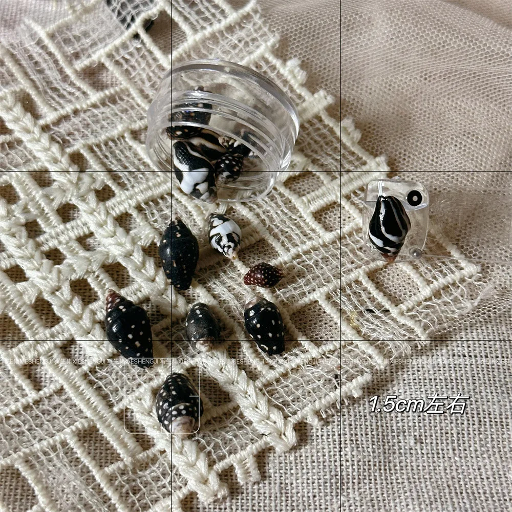 해변 휴가 스타일 천연 조가비 껍질 네일 아트 쥬얼리 자갈 껍질 네일 아트 재료