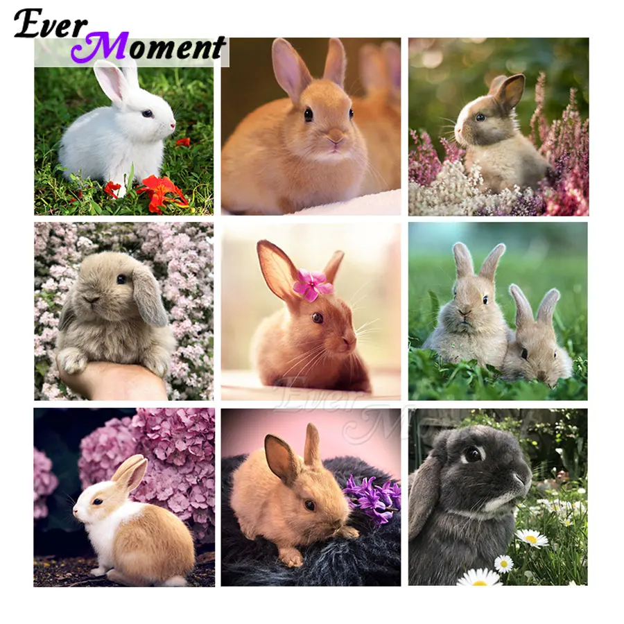 

Милый кролик DIY набор для вышивки крестом Алмазная вышивка домашнее искусство Ever Moment алмазная живопись украшение стены подарок на день рождения ASF2398