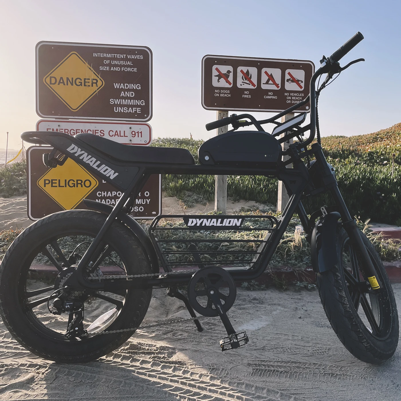 SXLL Professional Full Suspension Fast Ebike