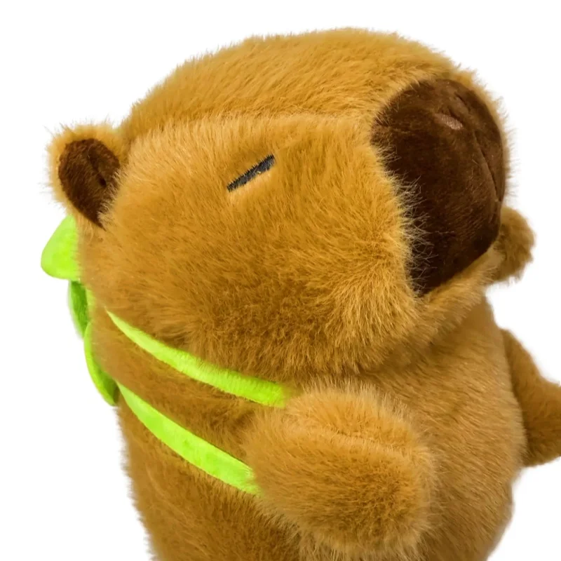 Kapibara/capybara with Turtle/StayCalm/KidGift/or for yourself