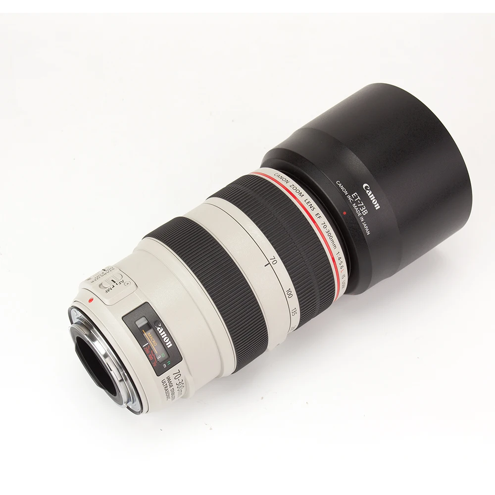 Canon EF 70-300mm f/4-5.6L IS USM Lens for Canon 800D 750D 760D 77D 80D 90D 800D 700D 600D 7D II 6D II 5D Mark IV 5D III 5D2