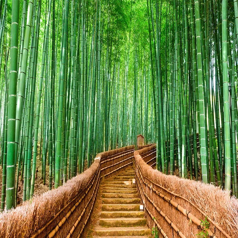 3D Wallpaper Chinese Style Green Bamboo Path Nature Scenery Photo Wall Murals Living Room Restaurant Backdrop Fresco Home Decor