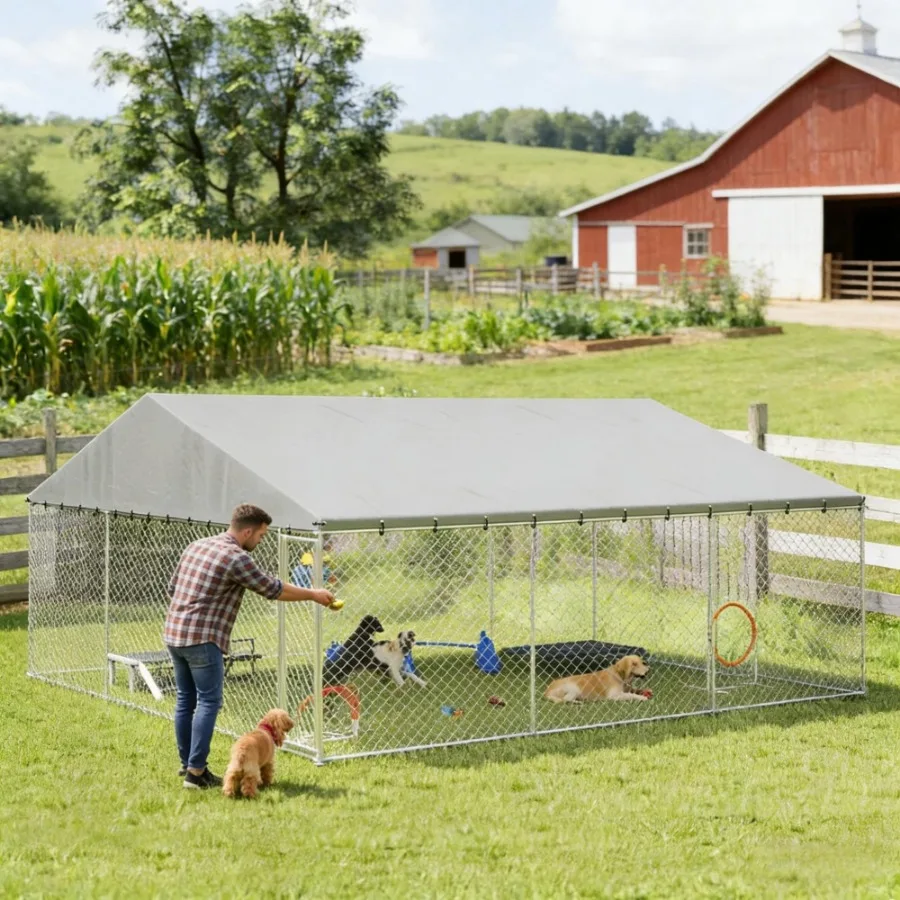 

Dog Kennel Outdoor, 2026 year