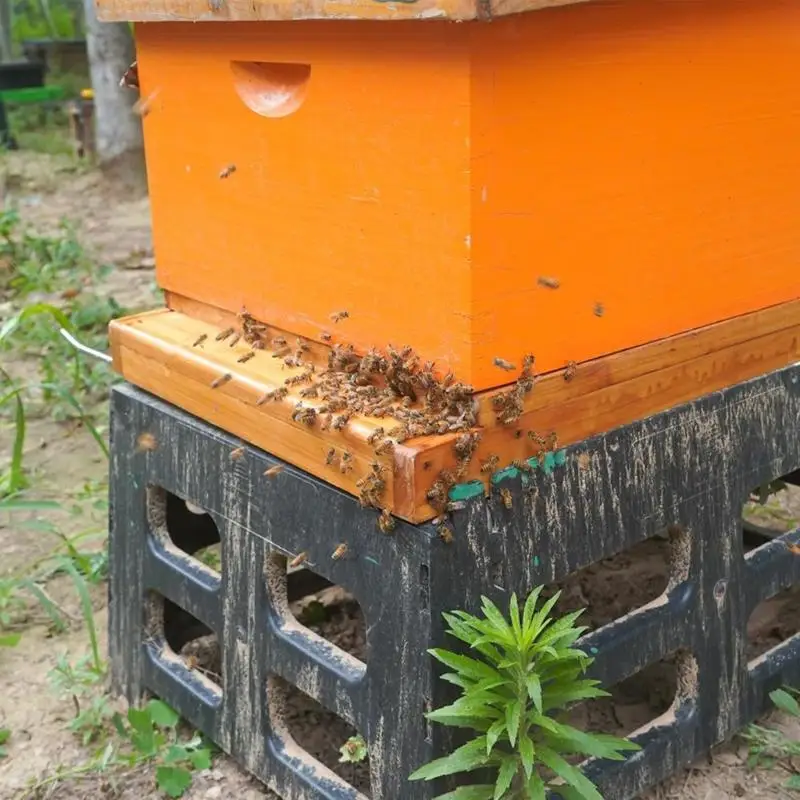 Durability Solid 10 Frame Hives with Pull Out Bottom for Easyly Maintenance and Beekeeping Efficiency KXRE