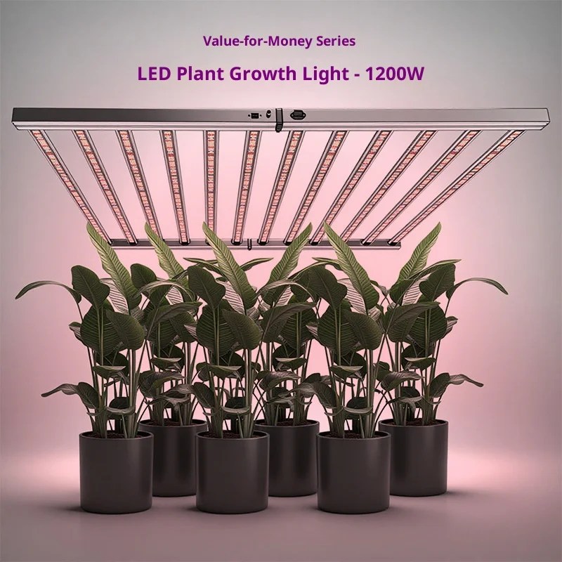 مصابيح نمو النبات 1200 وات، 800 وات، 720 وات، مصابيح إضاءة تكميلية للنباتات كاملة الطيف