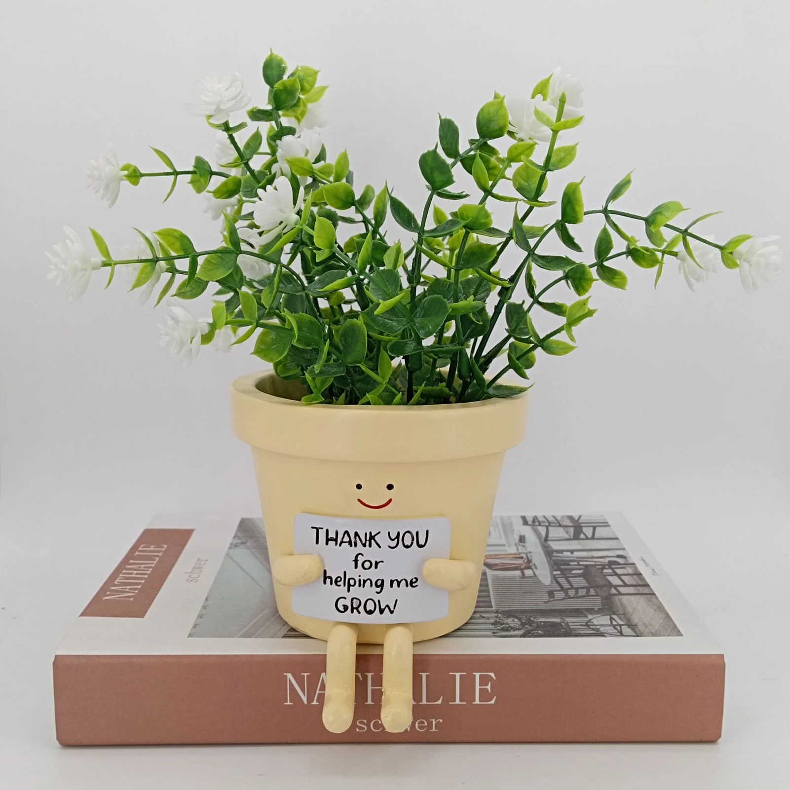 

Цветочный горшок, настенный горшок для цветов, креативные качели для лица, смола, милые растения, сочные горшки, улыбающееся лицо, контейнер для цветов, садовые аксессуары