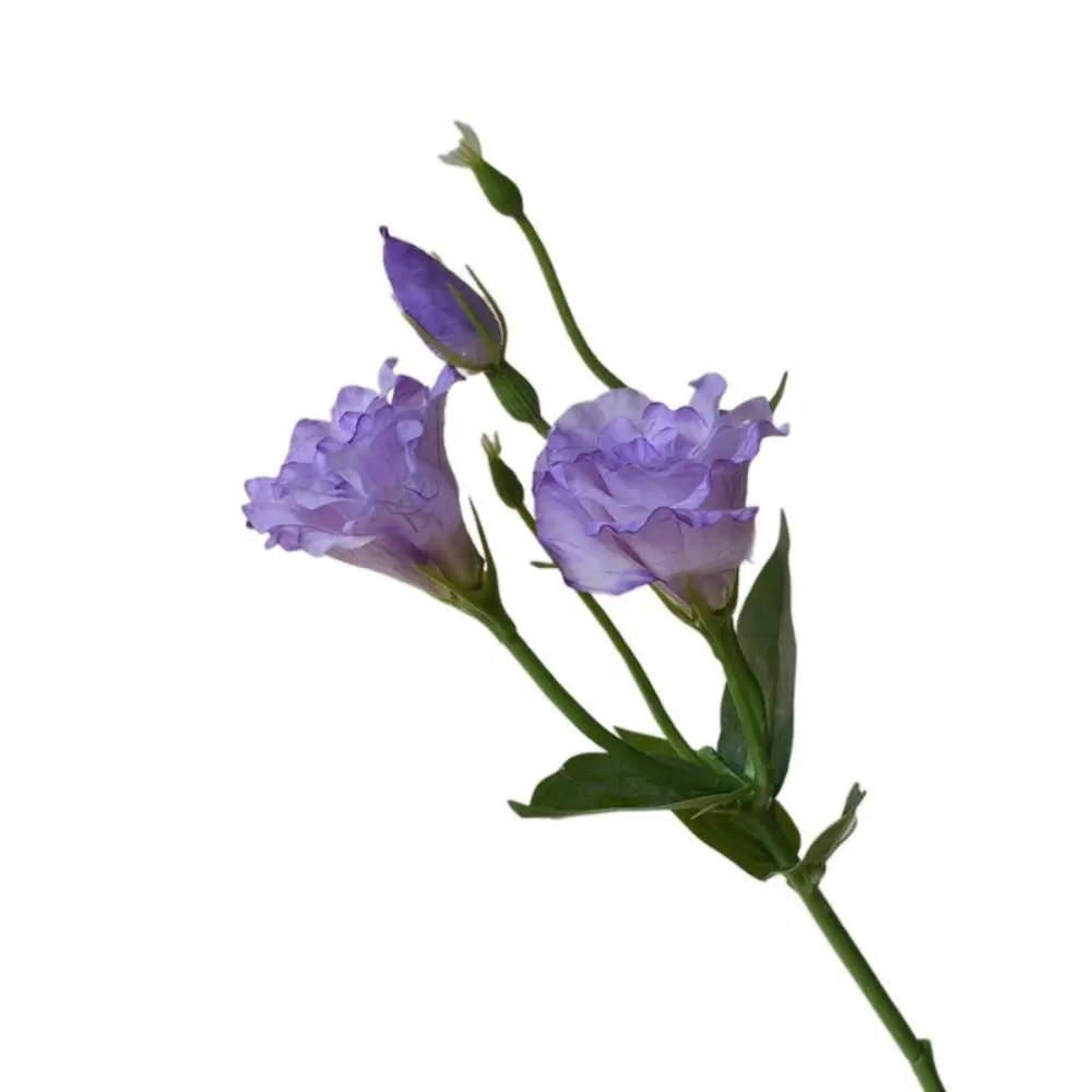 

Real Touch Artificial Lisianthus Flowers Lifelike Bridal Bouquet Fake Eustoma Flower Party Supplies DIY Artificial Bouquet