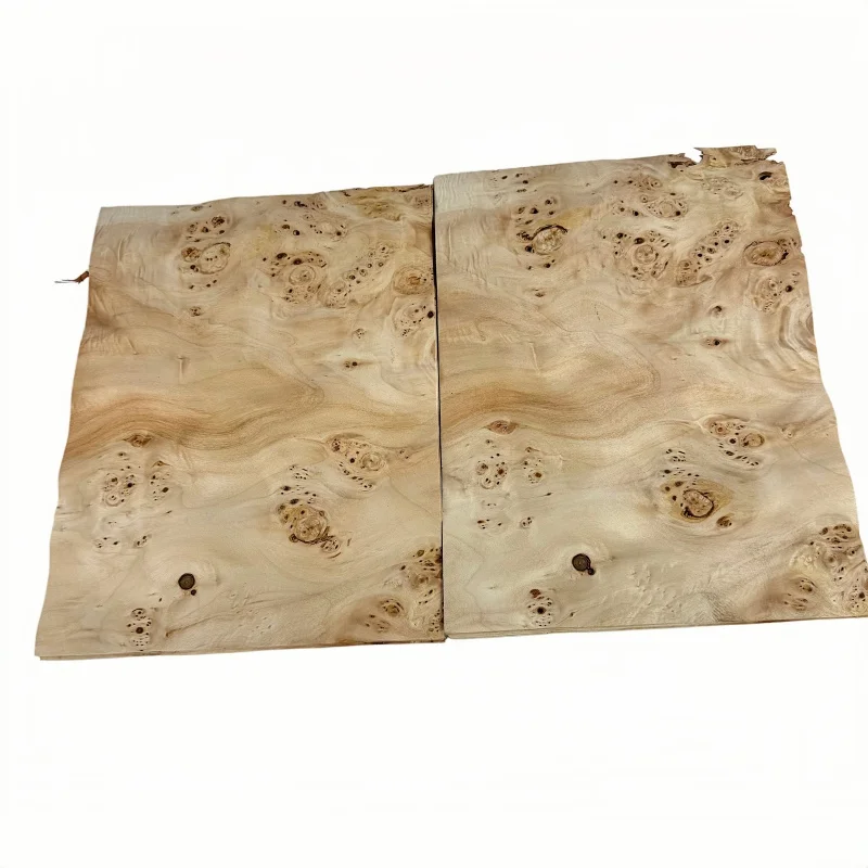 2pcs 0.5mm Natural White Poplar Burl Wood Veneer, Bookmatched, Guitar Body Veneer, DIY Marquetry Veneer 37x28cm