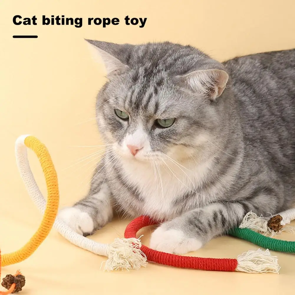 Interactive Molar Cotton Rope Toys for Cat, Teaser Toy, Teeth Cleaning, Dental, Teaser Supplies