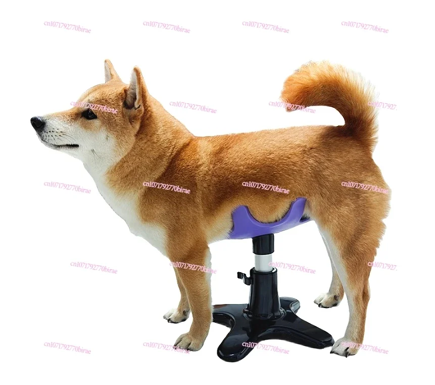 Dog Grooming Beauty Fixed Table Base Frame Adjustable Removable Pest Grooming Fixing Table Metal Universal Pet Bath Fixer