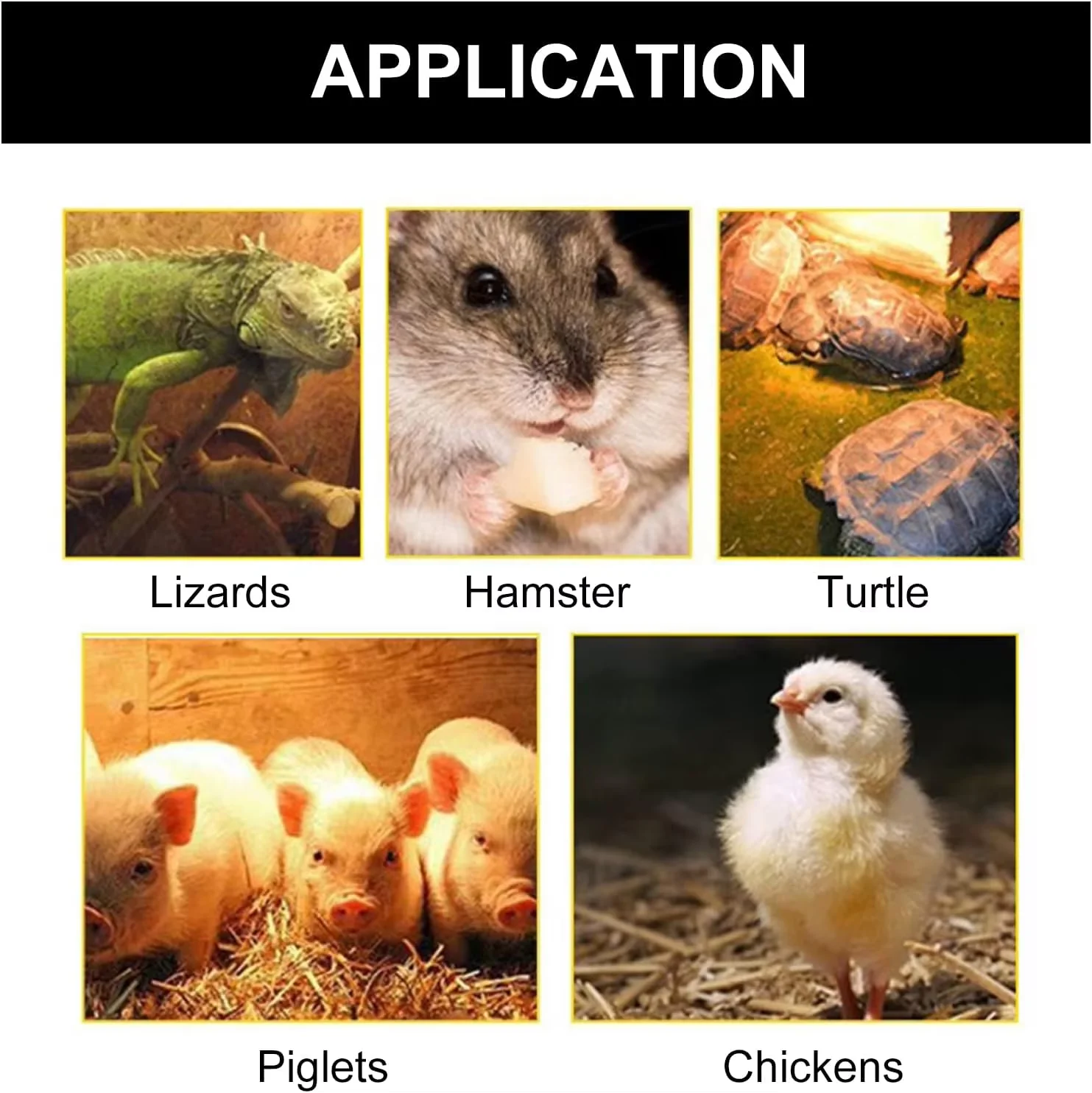 Lâmpada de aquecimento de frango ferramenta de fazenda 100-300w animal de estimação luz quente leitão pato pássaro mantendo lâmpada quente com controlador de temperatura