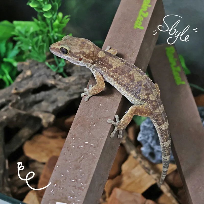 1 Stück DIY zuschneidbarer Schaumstoff-Kletterstab Reptilienzweig für gekräuselten Gecko, Leopard, Eidechse, Spinne, Terrarium, Tank, Habitat, Deko-Blöcke – Detail 9