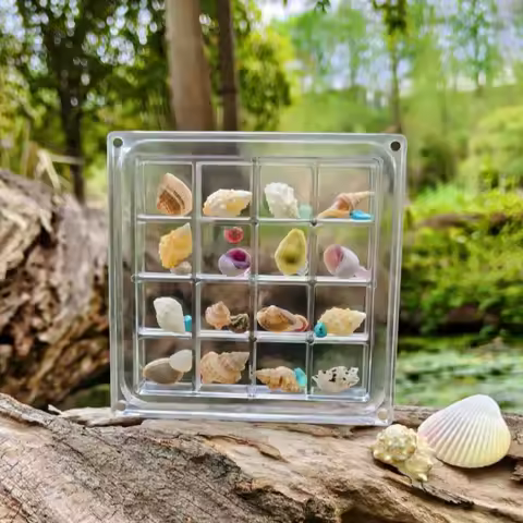 16-Grid Seashell Display Box with Magnets Durable Storage Display Organizer Box Acrylic Seashell Storage Box