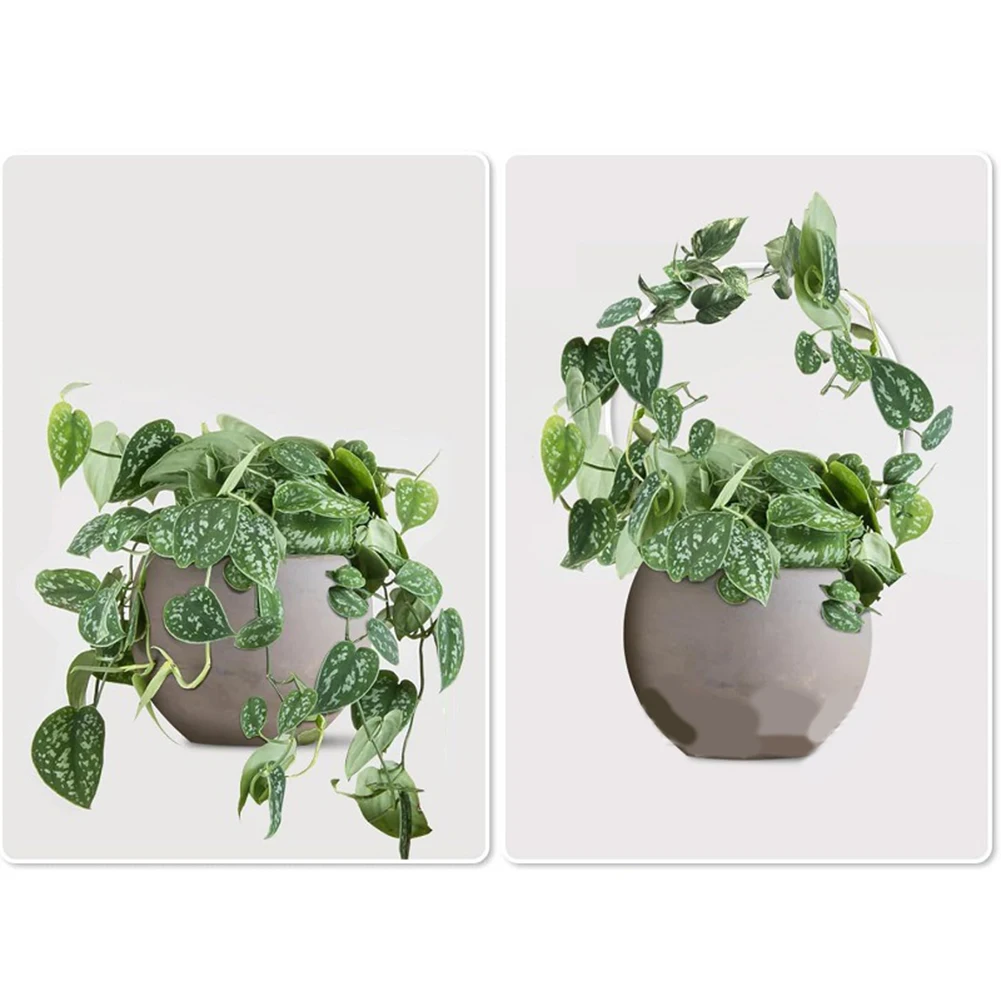 13*9 Inch Acrylic Plant Climbing Frame Creative Flower Display Support Acrylic 2 Pieces Included Easy Assembly And Repositioning