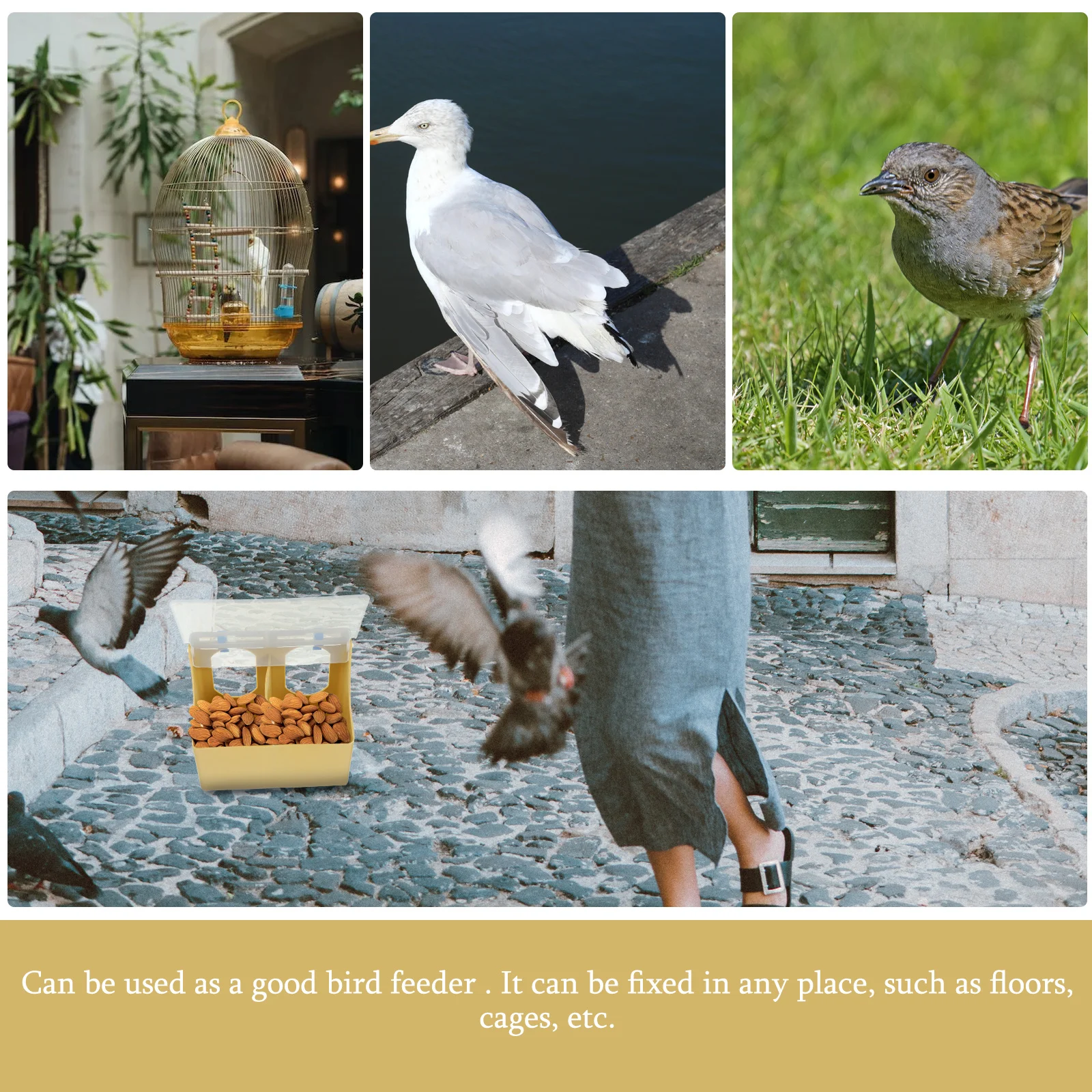 صندوق تغذية الحمام كوب تغذية الطيور البلاستيكي لأرضية القفص متعدد الوظائف تغذية السمان مستلزمات الطيور المنزلية ملحقات الحيوانات الأليفة